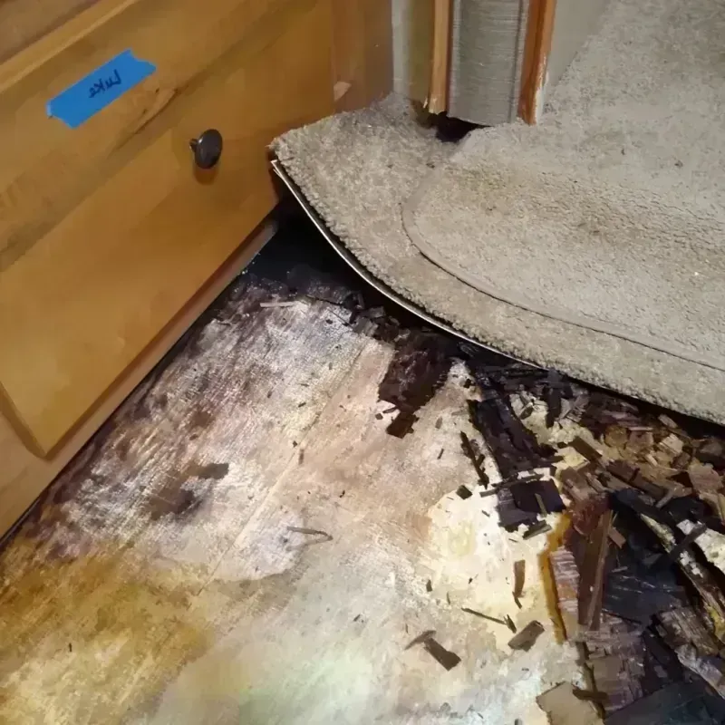 Wood Floor Water Damage in Cleveland, AL